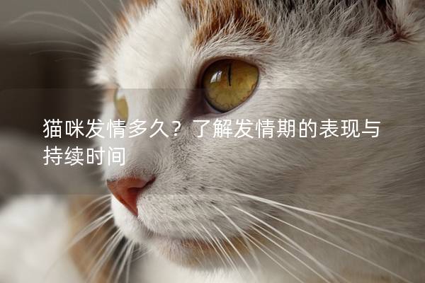 貓咪發(fā)情多久？了解發(fā)情期的表現(xiàn)與持續(xù)時(shí)間